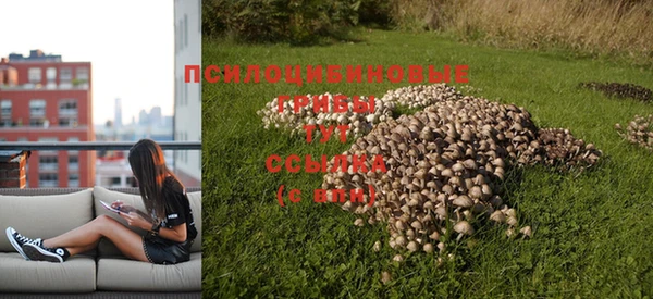 мяу мяу кристалл Балахна