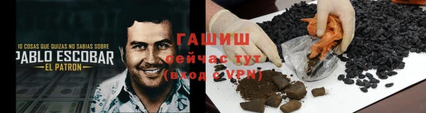 PSILOCYBIN Нязепетровск